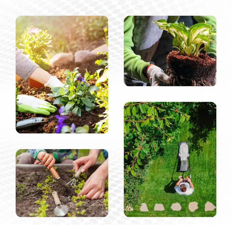 Quality Landscaping Service