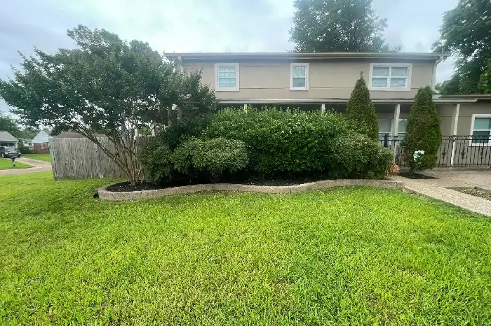 Landscape Installation