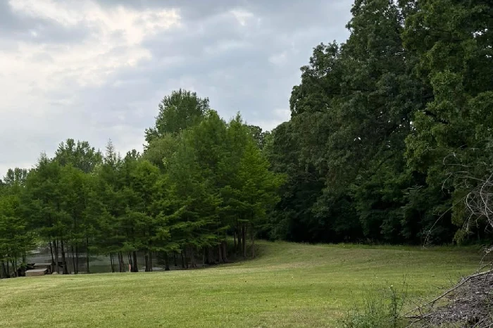 NJ Lawn Services's Other Services